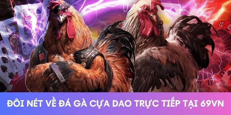 Đôi nét về đá gà cựa dao trực tiếp tại 69VN