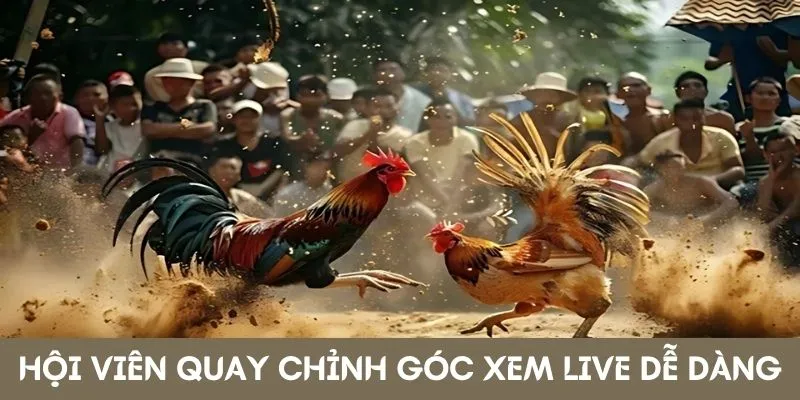 Hội viên quay chỉnh góc xem live dễ dàng