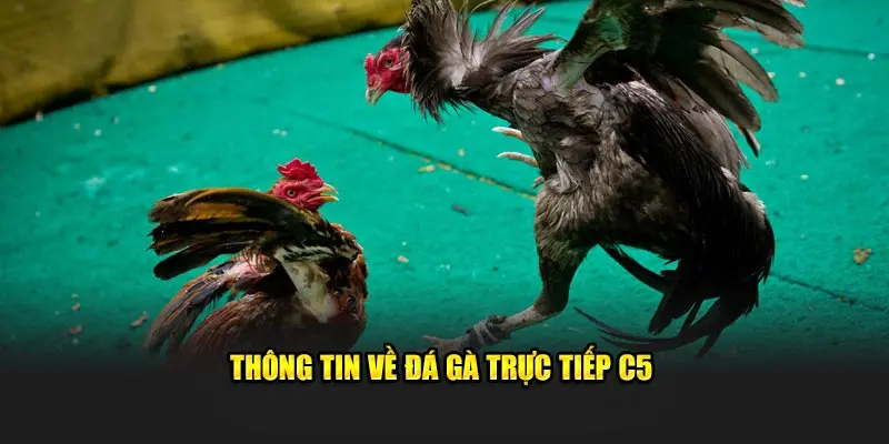 Hình thức thi đấu được nhiều khách hàng quan tâm