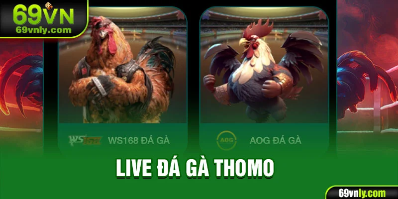 Live đá gà Thomo